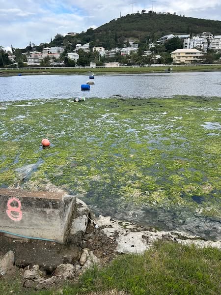hippodrome de Nouméa, c’est de pire en pire !