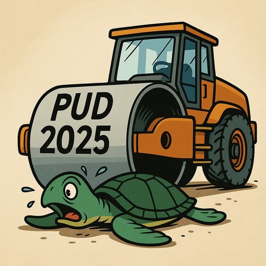 Révision des PUD de La Foa et Boulouparis