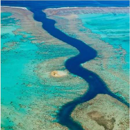 Attaque de requins à Kélé, compassion et responsabilité