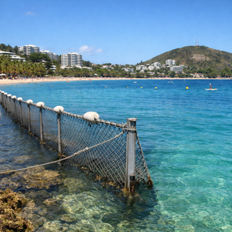 Plus de deux ans après la pose des « barrières anti-requins » à la Baie des Citrons et à l’Anse Vata, un suivi environnemental fantôme…